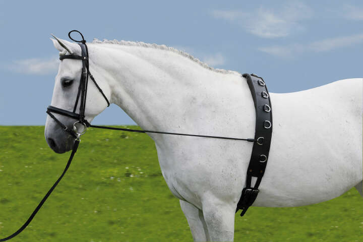 KANTRIE Halsverlängerer